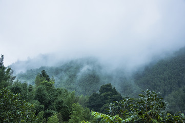 秦时明月阴阳家